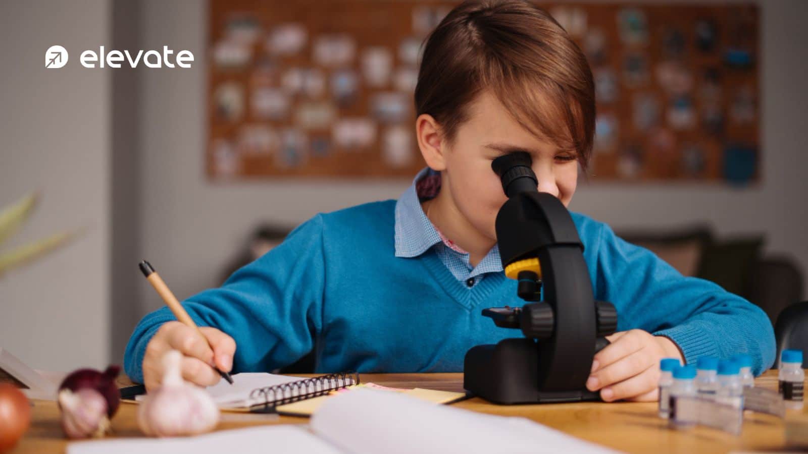 Why Memorising Notes Isn’t Enough for HSC Biology and Chemistry